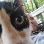 Profile Picture of Larry VanBuskirk (@larry.vanbuskirk.75) on Facebook