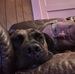 Profile Picture of Jason Stocker (@jason.stocker.37) on Facebook