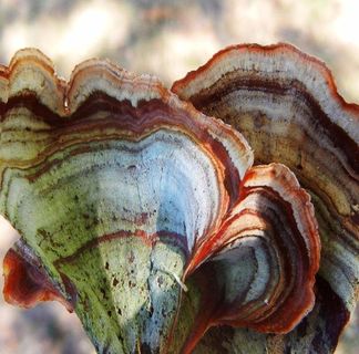 Profile Picture of Howard Goltz (@howard.goltz) on Facebook