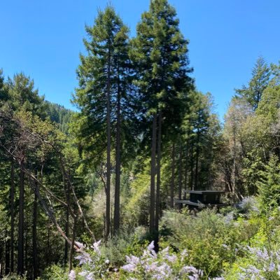 Profile Picture of Dan Talbert (@danncsf) on Twitter