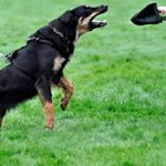 Profile Picture of Julia Ängstål (@juliaangstal) on Instagram