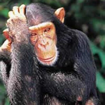 Profile Picture of James Weber (@BookmanJames) on Twitter