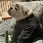 Profile Picture of Jose Ramirez Vargas (@jramirezvargas710) on Instagram