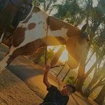 Profile Picture of Venâncio Garcia (@venancio.garcia.98892) on Instagram