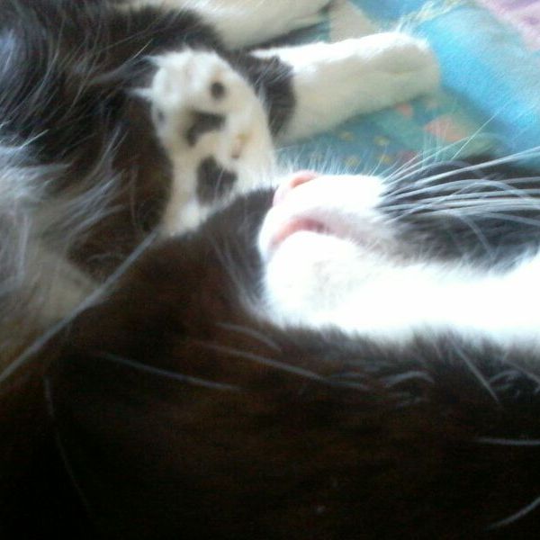 Profile Picture of Didi (@ingridclaussen) on Tiktok