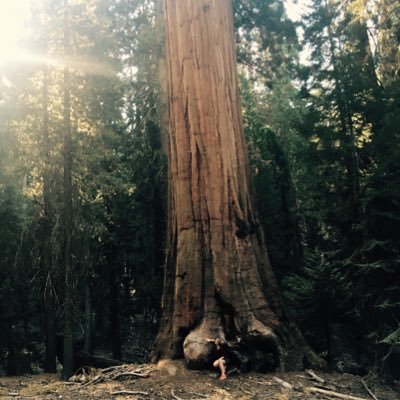 Profile Picture of Lisa Garbe (@L1s4uM4rc) on Twitter