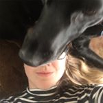 Profile Picture of Robyn Chandler (@bobyn9) on Instagram