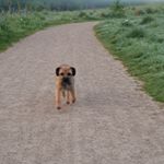 Profile Picture of Barry Nicholls (@barry1889nicholls) on Instagram