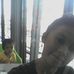 Profile Picture of Crystal Clavite (@crystal.clavite.5) on Facebook