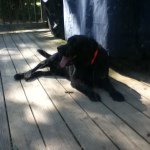 Profile Picture of Connor (@connorkillough) on Instagram