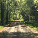 Profile Picture of Jeff Snowden (@jeff.snowden61) on Instagram