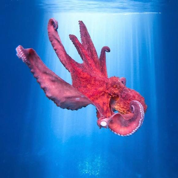 Profile Picture of Lisa Rutkin (@lbrutkin) on Poshmark