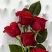 Profile Picture of Azza Seedahmed (@azza.ahmed.96343405) on Facebook