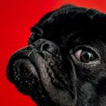 Profile Picture of Nathan Hornsby (@nhornsby123) on Instagram