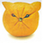 Profile Picture of Abdullah Kamran (@M Abdullah) on Flickr