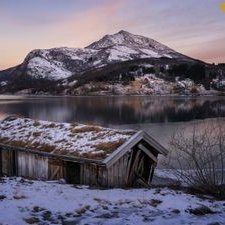 Profile Picture of John Carrera (@j_carrera_m) on Twitter