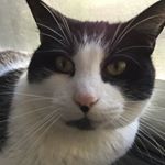 Profile Picture of Garrett (@garrett.crowder2018) on Instagram