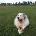 Profile Picture of Jack Witcher (@jackw0143) on Pinterest