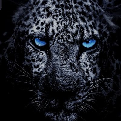 Profile Picture of Patrick Tardif (@gongetit9) on Twitter