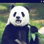 Profile Picture of Jack Wennersten (@jackwennersten) on Instagram
