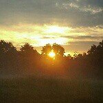 Jeff Voegele - Instagram Profile Picture of Jeff Voegele (@jeff_voegele) on Instagram