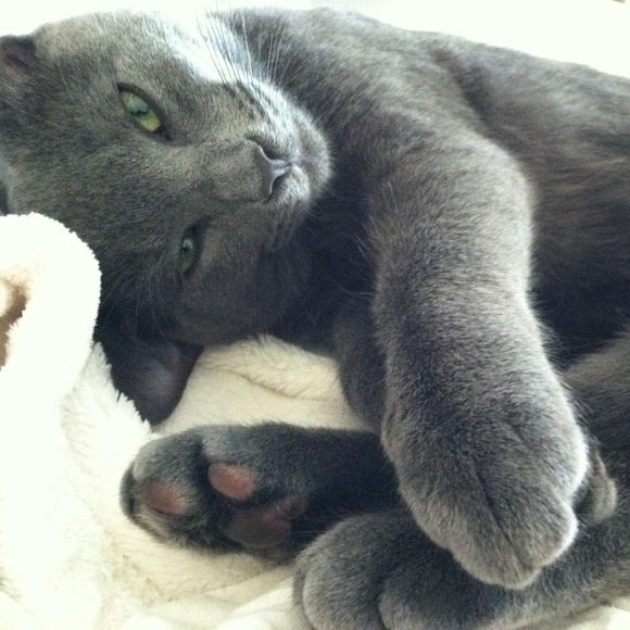 Profile Picture of Jason Marshall (@marshajl5) on Poshmark