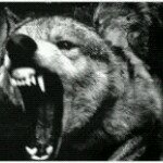 Profile Picture of Kristopher Henderson (@kris2pher81) on Instagram