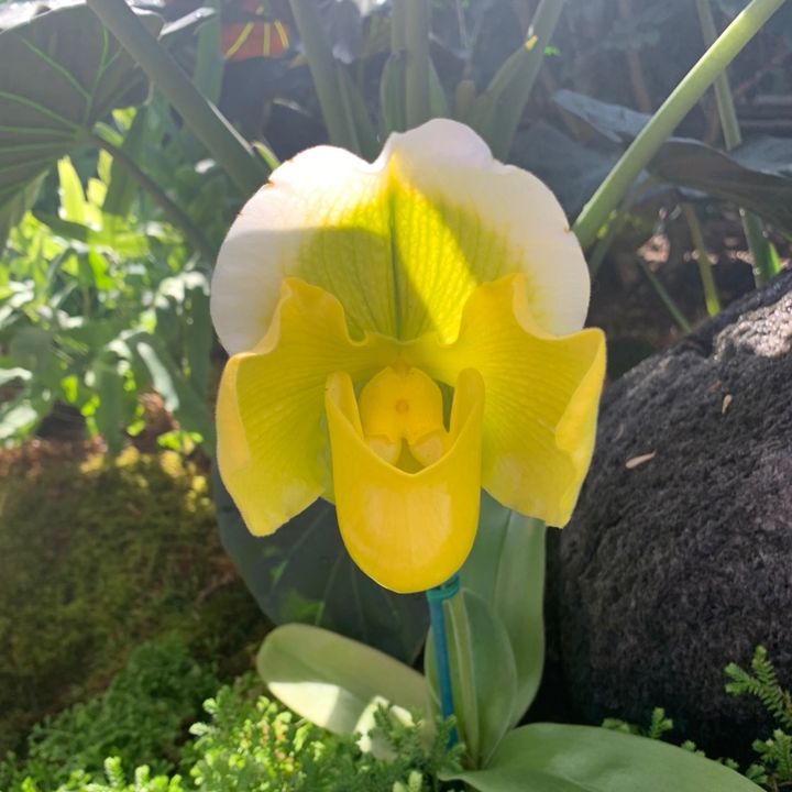 Profile Picture of Richard Janus (@richardjanus6050) on Tiktok