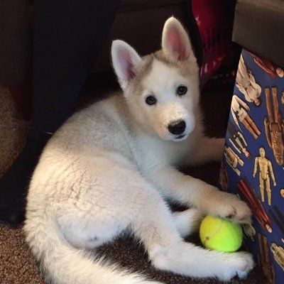 Profile Picture of Jennifer Lucille Johnson (@JenniferLucill7) on Twitter