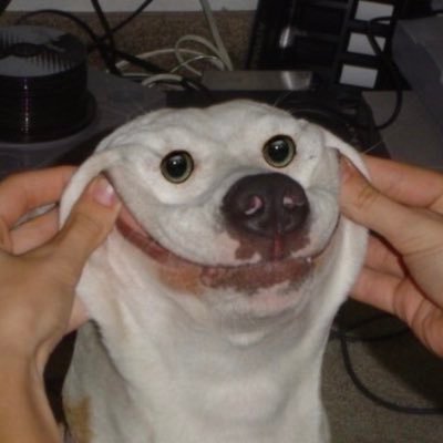 Profile Picture of Sam Knox (@samknox10636680) on Twitter