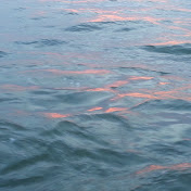 Profile Picture of Colleen Brady (@colleenbrady3781) on Youtube