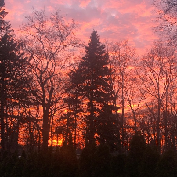 Profile Picture of Allison Hunter (@allihunter942) on Poshmark