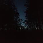 Profile Picture of Reid Fleming (@reidflemingo) on Instagram