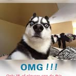 Profile Picture of Jeremy Benavides (@jeremy.benavides.33) on Facebook