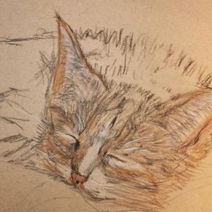 Alison Arthur - Myspace Profile Picture of Alison Arthur (@189928159) on Myspace