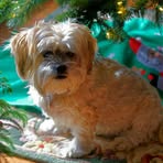 Profile Picture of Marjorie Caputo (@Marjorie-Caputo) on Facebook