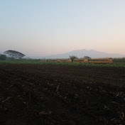 Profile Picture of Alejandro Valladares (@alejandrovalladares9988) on Youtube