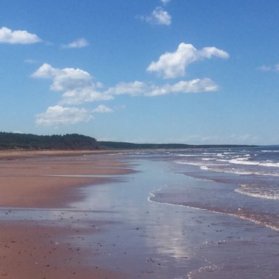 Profile Picture of Donna MacDonald (@@peibeaches) on Twitter