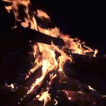 Profile Picture of Brant Campbell (@brantaucampbellau) on Instagram