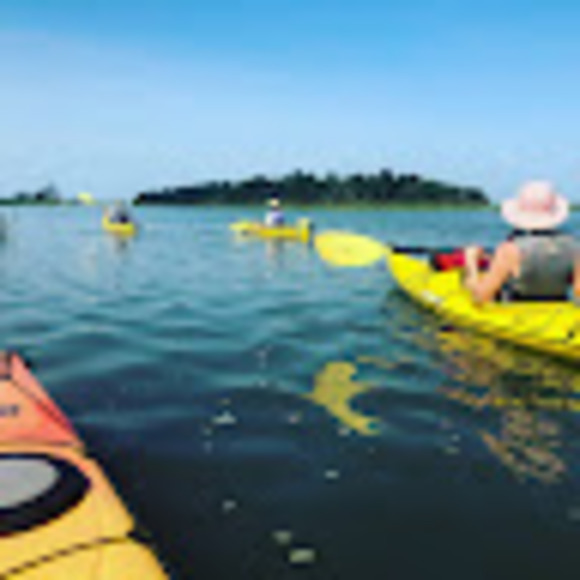 Profile Picture of Mark Howard (@markhoward323) on Poshmark