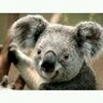 Profile Picture of Deepali Pandit (@pandit_deepali) on Twitter