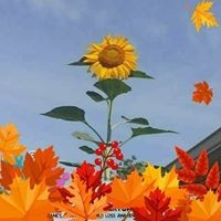 Profile Picture of Gabrielle Wolf-stahl (@gabrielle-wolf-stahl) on Quora