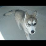 Profile Picture of Eugene_Street (@ziggy4573) on Instagram