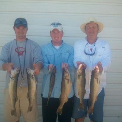 Profile Picture of Tony Sikora (@tonysikora) on Twitter