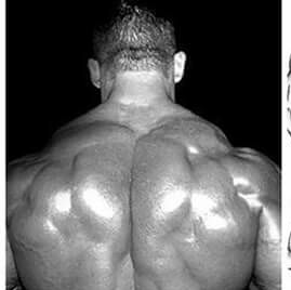 Profile Picture of Andrew Rossi (@Andrew-Rossi) on Facebook