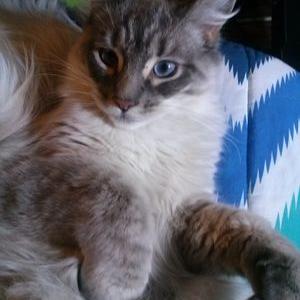 Profile Picture of Tracey Franks (@franks_tf) on Twitter