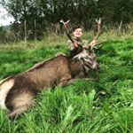 Profile Picture of Jo Are Bakken Nilsen (@bakkennilsen) on Instagram