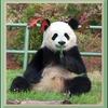 Profile Picture of Aaron Latimer (@@aaronlatimer7) on Tiktok