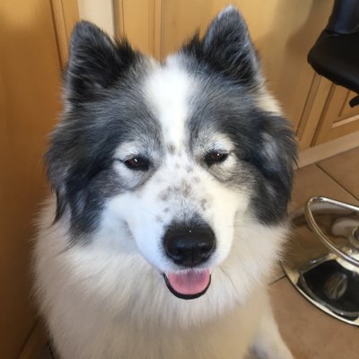 Profile Picture of Andrew Feeney (@andrewfeeney1) on Twitter