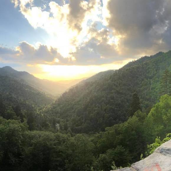 Profile Picture of Bill Lindvig (@blindvig) on Poshmark